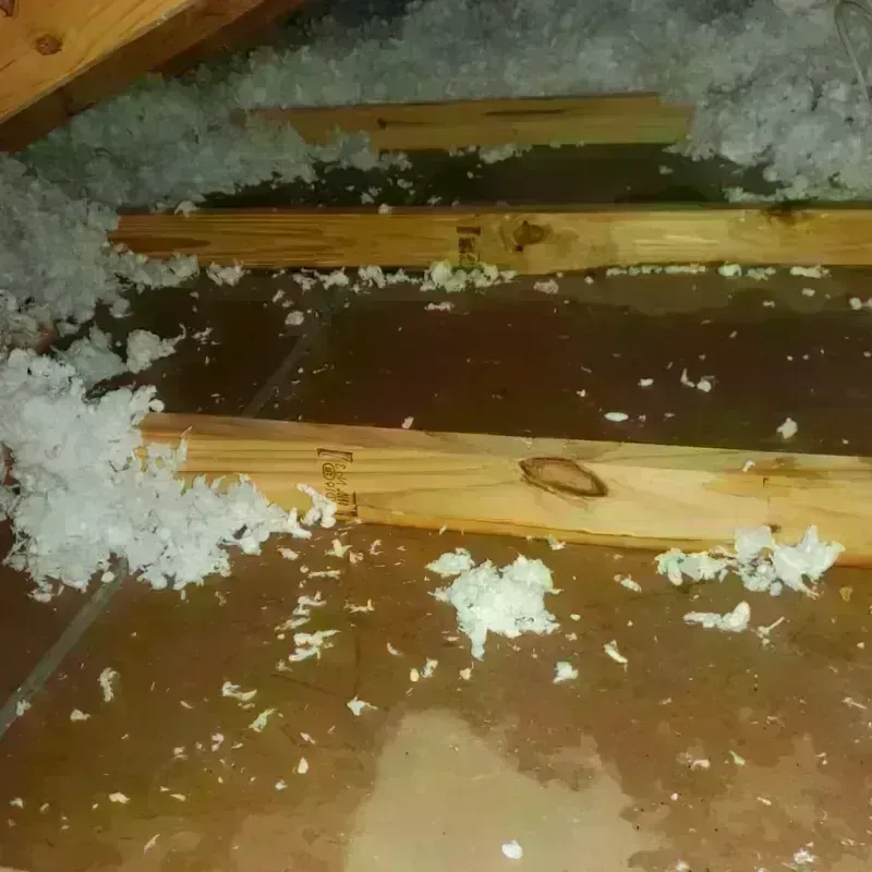 Attic Water Damage in Chapman, KS