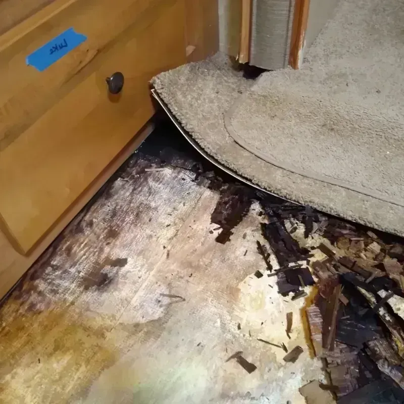 Wood Floor Water Damage in Chapman, KS